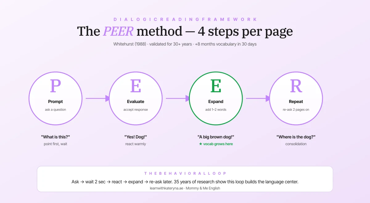 The PEER method — 4 steps of dialogic reading: Prompt, Evaluate, Expand, Repeat