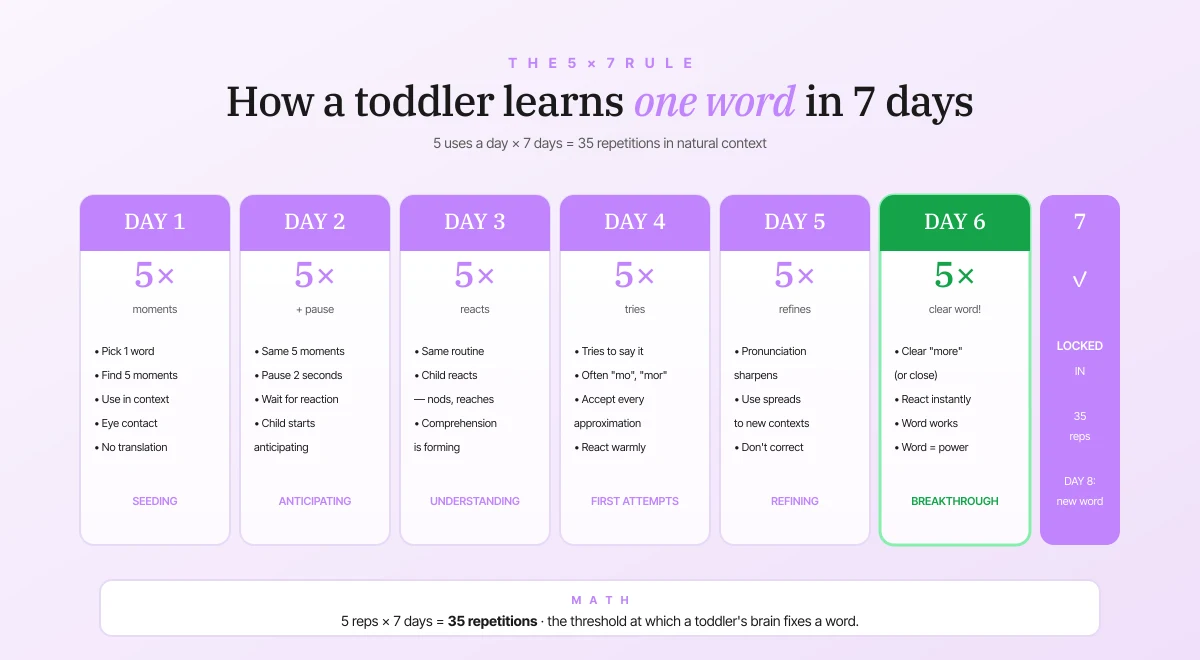 The 5×7 rule — how a toddler locks in one English word in seven days